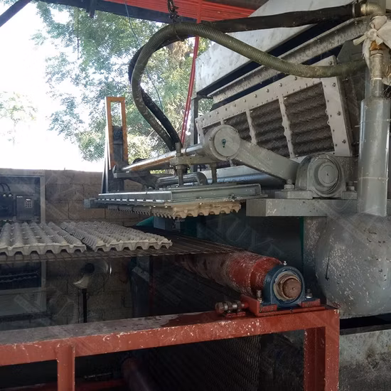 Máquina para fabricar bandejas de huevos de plástico para pequeñas empresas de cartón de huevos de la familia de nuevos productos