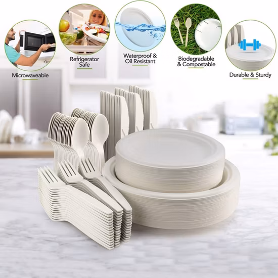 Vajilla de pulpa de bandeja de comida rápida verde personalizada 9 pulgadas 100% platos de papel de caña de azúcar desechables biodegradables compostables