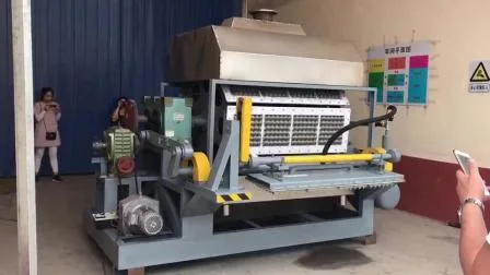 Máquina automática de moldeo de bandeja de huevos de pulpa de papel de calidad superior